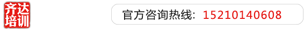 黑丝骚逼齐达艺考文化课-艺术生文化课,艺术类文化课,艺考生文化课logo